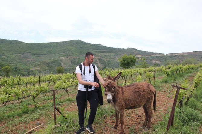 Albanian Highlights - UNESCO Sites ,Nature and Food Tour - Good To Know