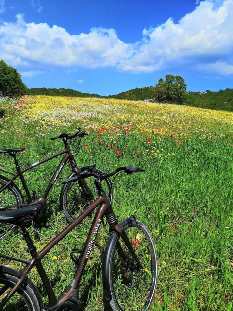 Alberobello Tour With E-Bike and Focaccia Tasting