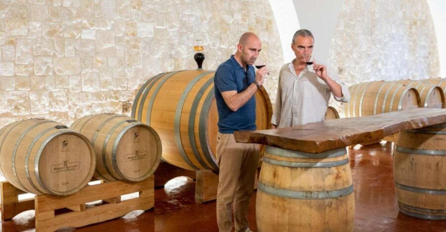 Alberobello: Winery Tour With Wine and Food Tasting - Good To Know