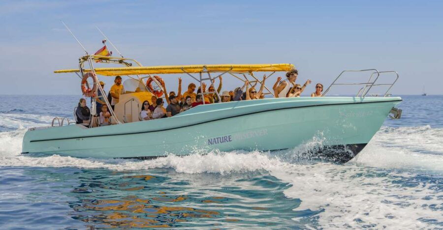 Alcudia: Relaxing Boat Trip With Hotel Transfer
