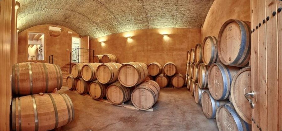 Alcudia: Vineyard Tour & Exclusive Wine Tasting Experience