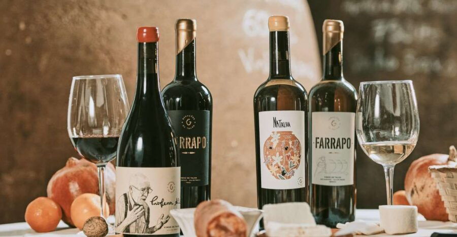 Alentejo: Visit and Taste the Tradition of Talha Wines - Good To Know