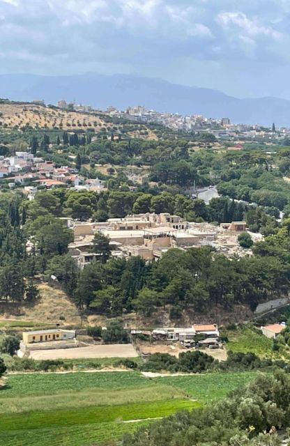 All-Day Knossos Palace Tour & Olive Mill Visit