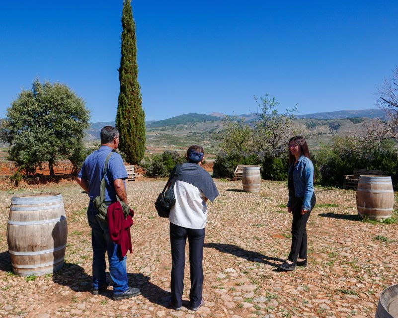 Almería: Wine Tour and Tasting in Organic Winery - Full Description