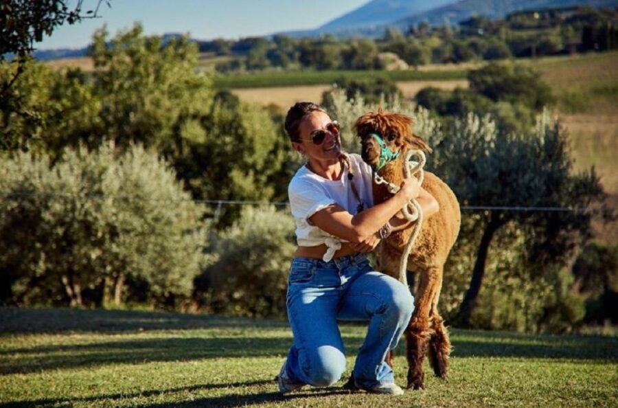 Alpaca Trek in Valdichiana Senese - Booking Information