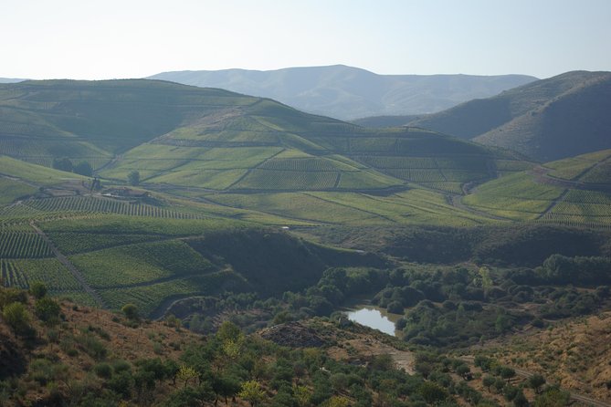 Alto Douro Walk & WineTour - Good To Know