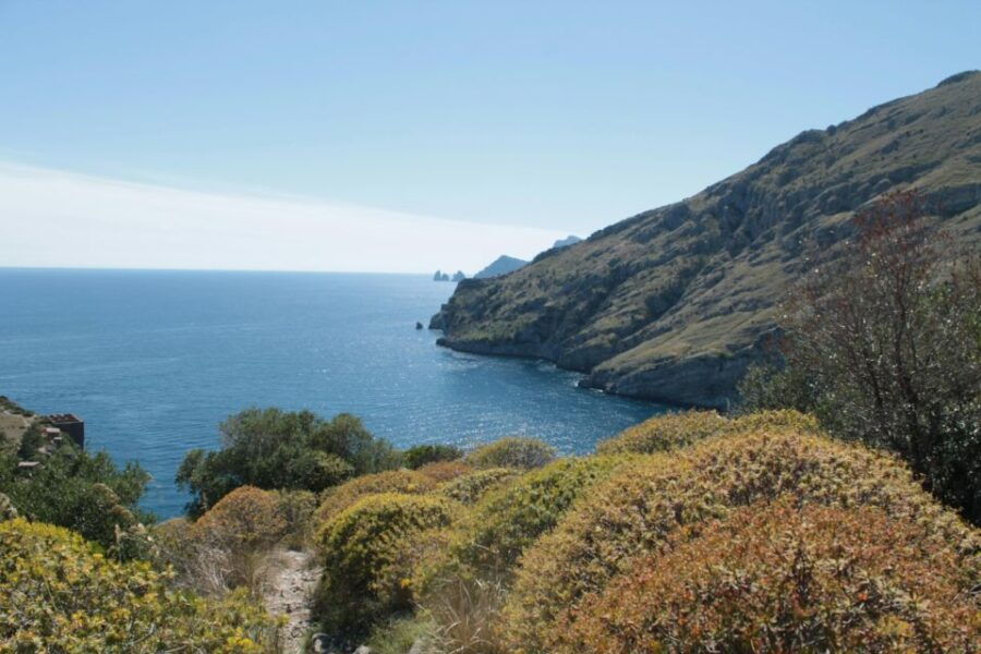 Amalfi Coast Private Tour From Sorrento on Itama 50 - Languages and Accessibility