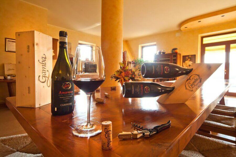 Amarone Wine Tasting Tour. Visit Verona. From Venice