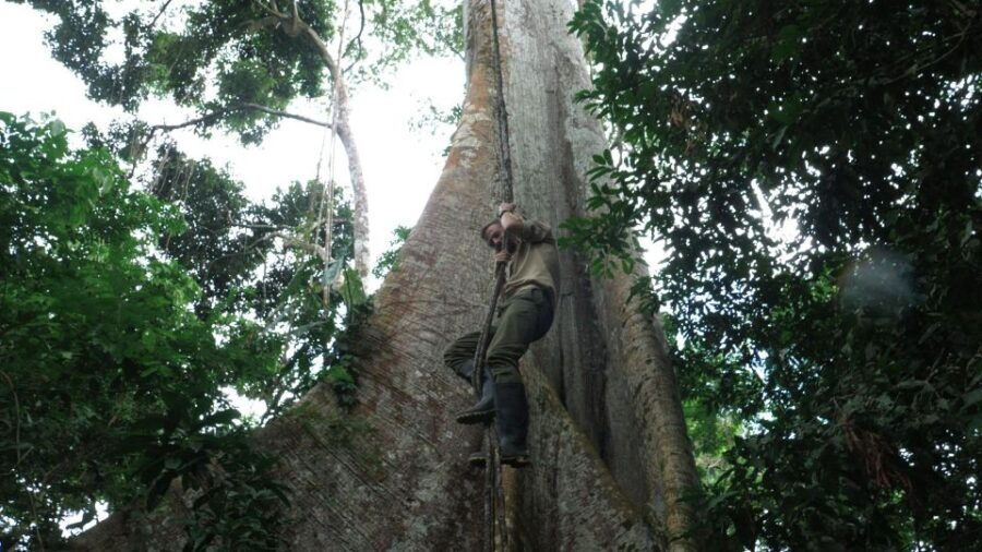Amazonas Extreme