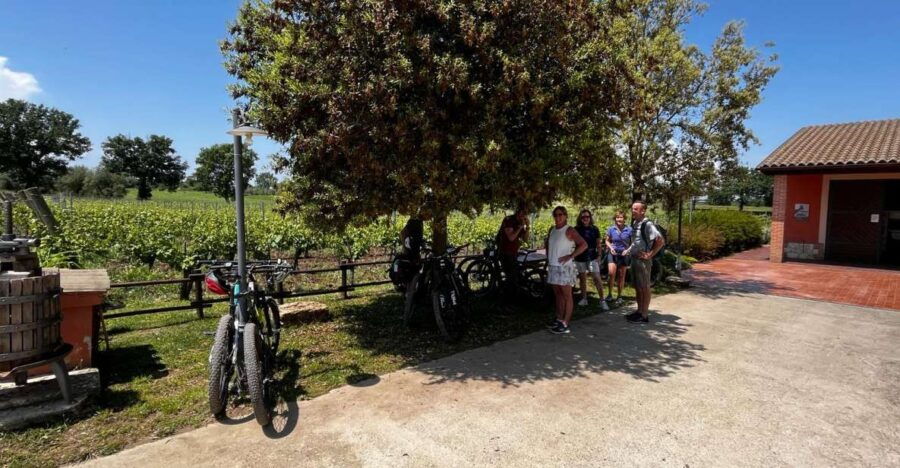 Amelia: E-Bike Tour With Wine Tasting and Light Lunch - Tour Pricing and Availability