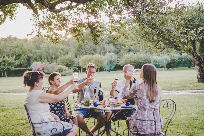 4 Best Wine Tours In Istria