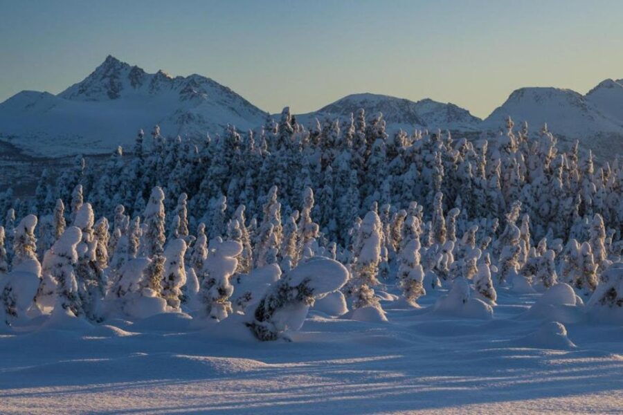 Anchorage: Winter Wonderland Photo Tour - Booking Information