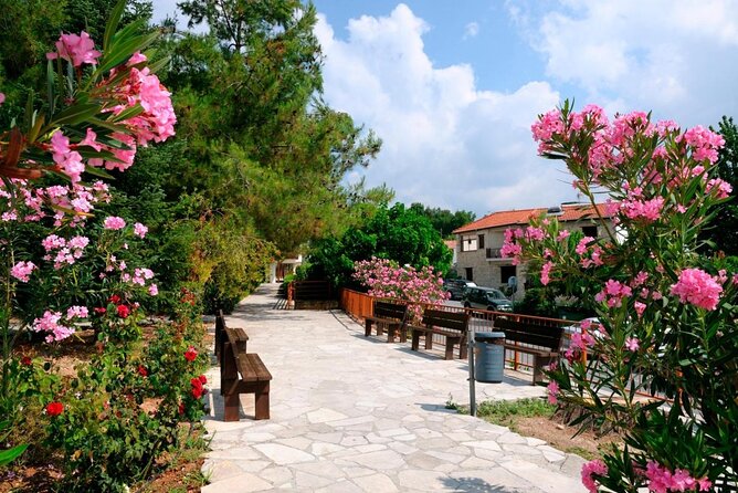 3 Best Wine Tours In Limassol
