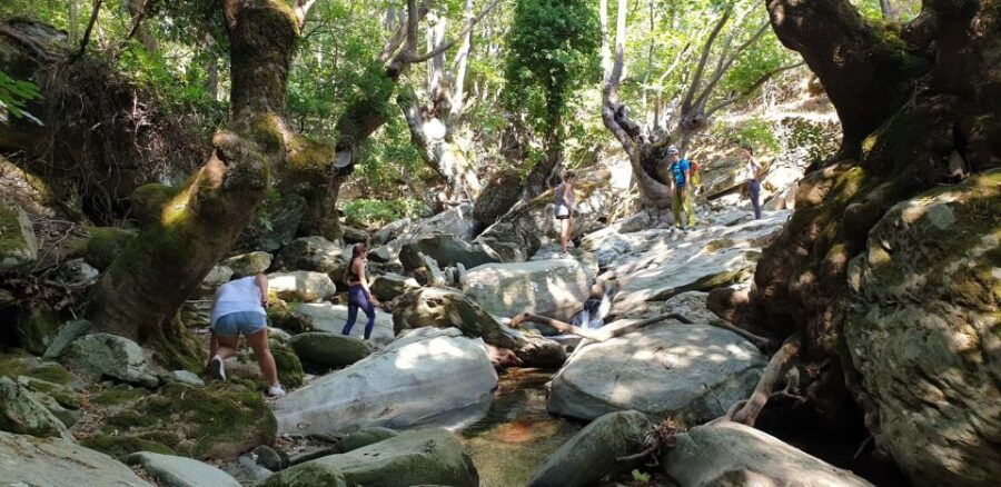 Andros: Achla River Trekking to the Waterfall - Activity Highlights