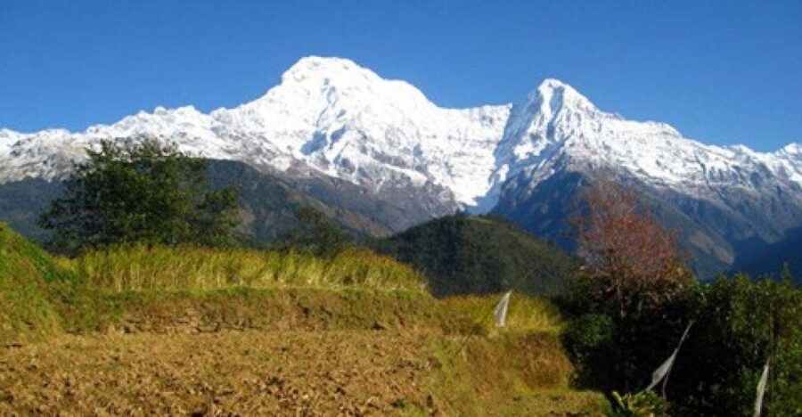 Annapurna - 4 Days Poon Hill Trek From Pokhara. - Group Size and Guide