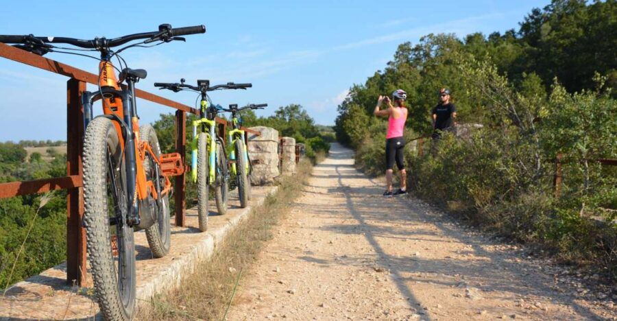 Aqueduct Cycle Path With Wine Tasting in the Cellar