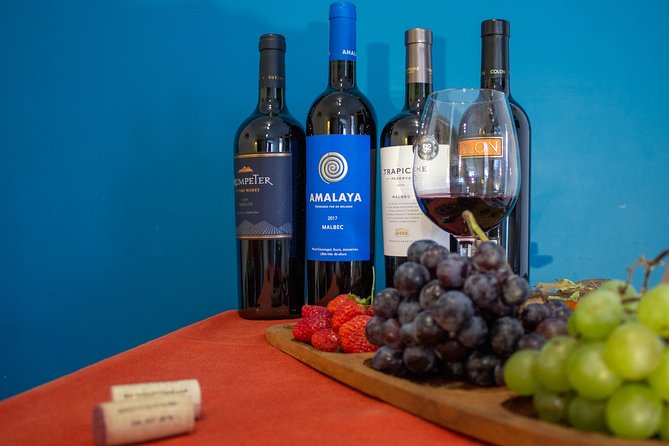 Argentinian Wines and Malbec Tasting (Virtual Live Experience)