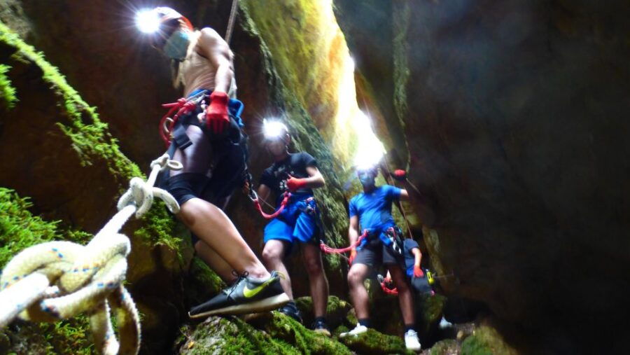Arrábida: Arrábida Adventure Circuit Tour