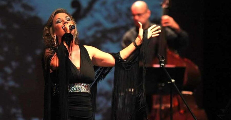 Arrábida Vineyards: Fado Show With Dinner & Wine Tasting