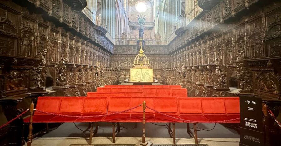 Astorga: Astorga Cathedral & South Tower Tour With Entry - Good To Know