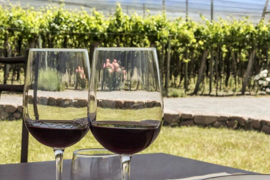 Athens: Nafplio and Nemea Wine Tasting Day Trip