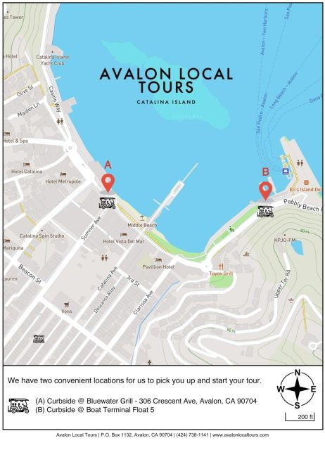 Avalon: Private Golf Cart Tour With Driver-Guide - Booking Information and Flexibility