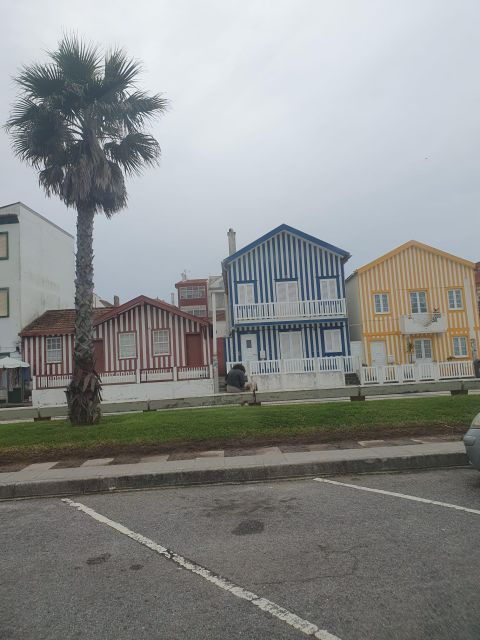 Aveiro and Coimbra Day Trip From Porto