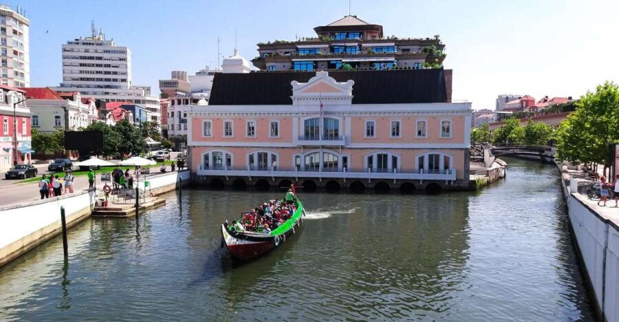 5 Best Wine Tours In Aveiro