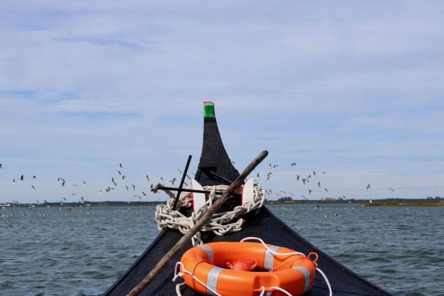 Aveiro: Typical Boat Tour With Tasting - 90 Min - Good To Know