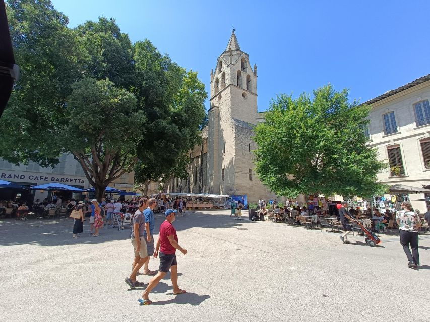 Avignon : Half-Day Walking Tour With Private Guide - Tour Details