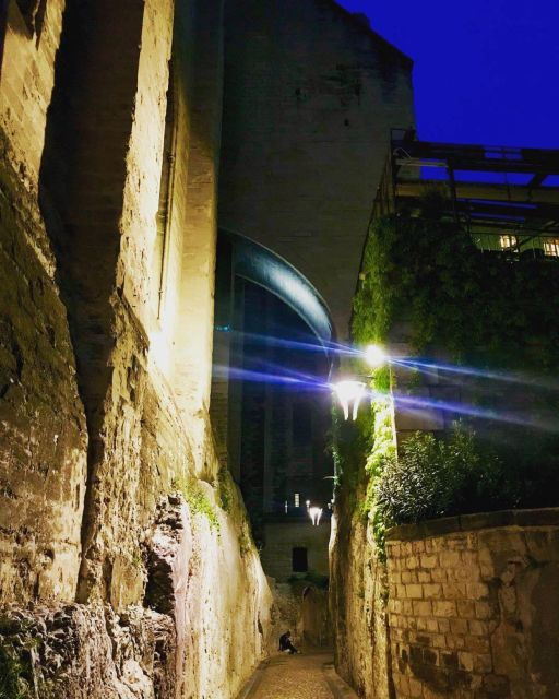 Avignon: The Night Owl Between Past and Present