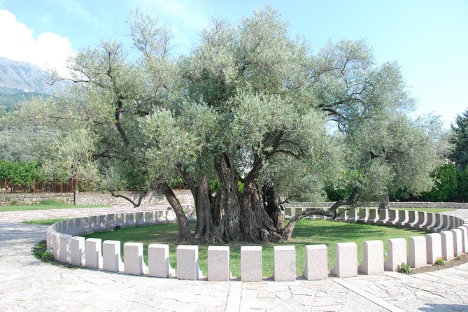 Bar and Ulcinj Private Tour - Oriental Montenegro Experience - Good To Know