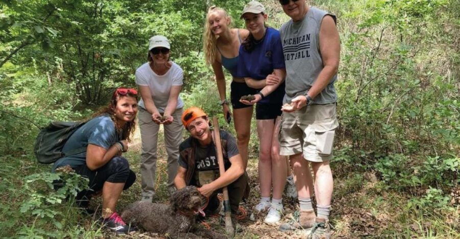 Barberino Tavarnelle: Truffle Hunt Tour With Lunch or Dinner