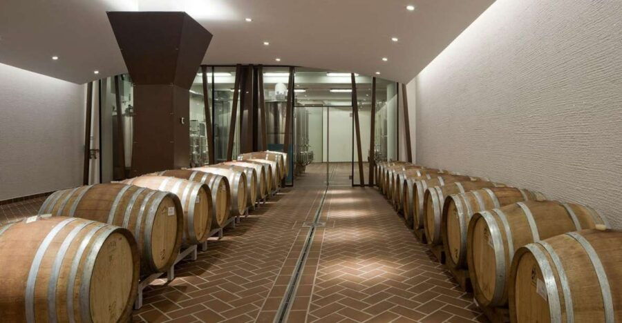 Bardolino: Tasting of 6 Red Valpolicella and Garda Wines - Experience Details