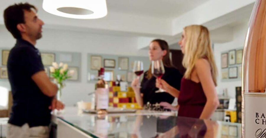 Bardolino: Tasting of 6 White and Rosè Wines With Lake View
