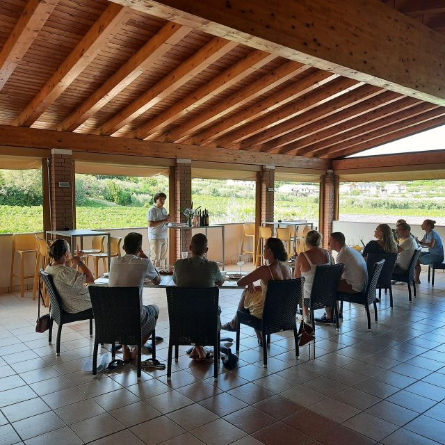Bardolino: Vineyard Tour With Wine, Olive Oil & Food Tasting - Good To Know