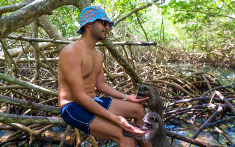 Baru Mangroves Tour Luminous Plankton - Good To Know