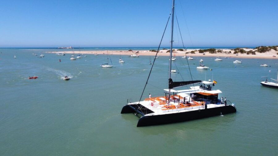 Bay of Cadiz Catamaran Tour With Host - Activity Description