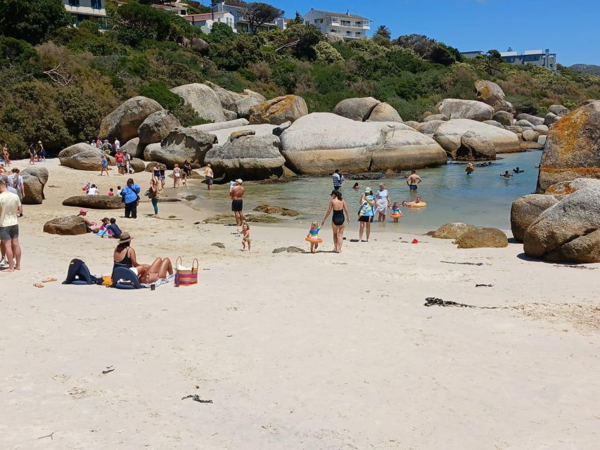 Beach Day at Boulders Beach & Penguin Watching, Half Day
