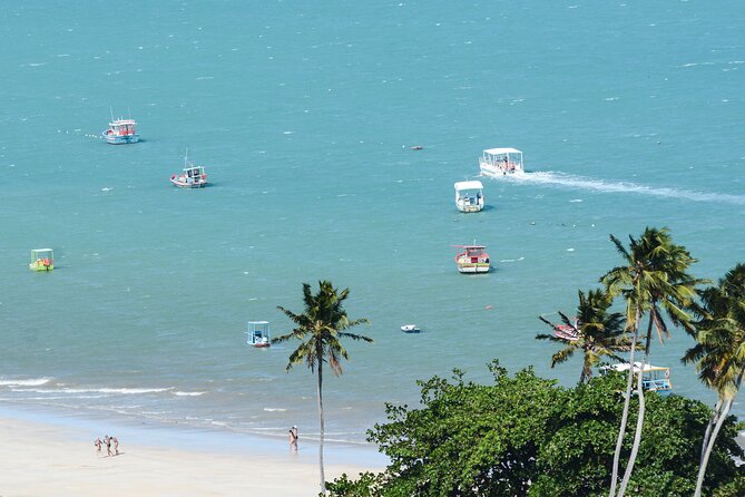 Beach Day In Maragogi With Catamaran Tour