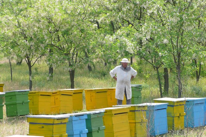 Bees Adventure in Romania - Private Day Trip From Bucharest - Good To Know
