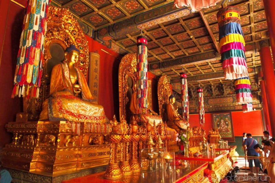 Beijing: Lama Temple, Confucius Temple and Guozijian Museum - Good To Know