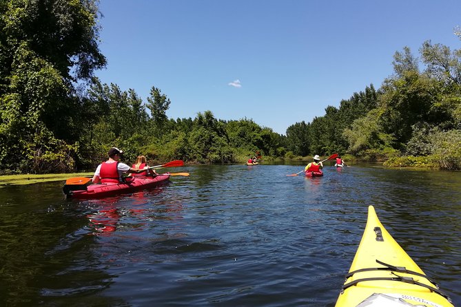 Belgrade Amazon Kayak Adventure - Good To Know