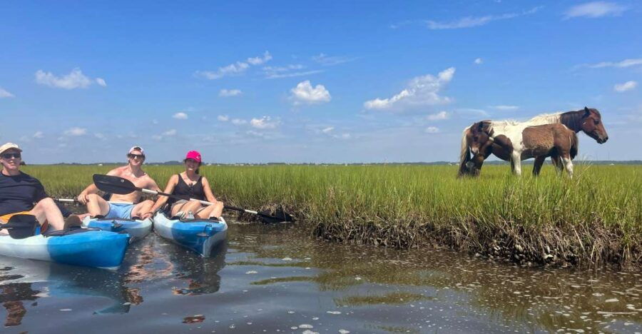 Berlin, MD: Full-, Half, or Quarter-Day Kayak Rental