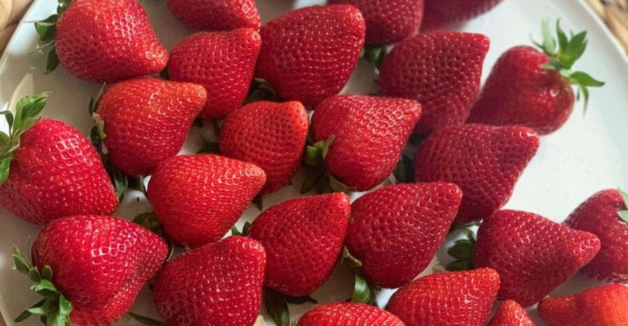 Berry Tasting (Strawberries, Raspberries and Blueberries) - Inclusions in the Berry Tasting Activity