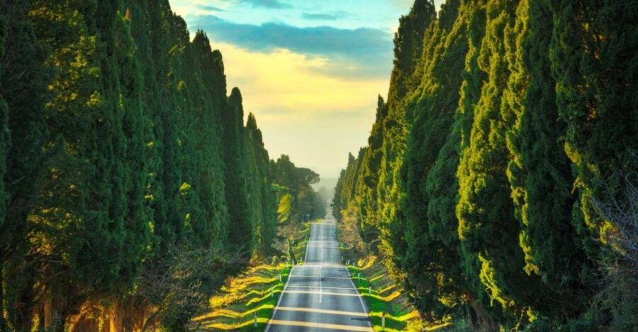 Best of Bolgheri- Full Day Private Experience in Bolgheri - Good To Know