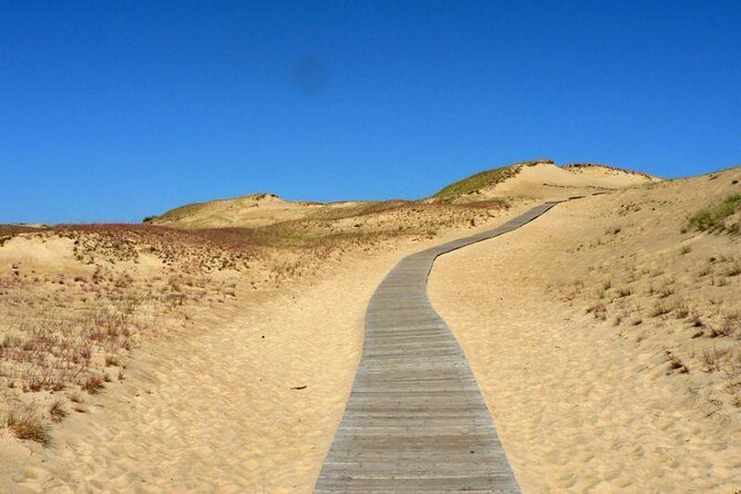 Best of Klaipeda & Curonian Spit Join-in Shore Excursion