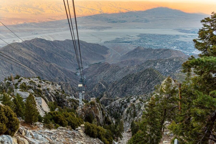 Best of Palm Springs Small Group Tour W/ Aerial Tram - Good To Know