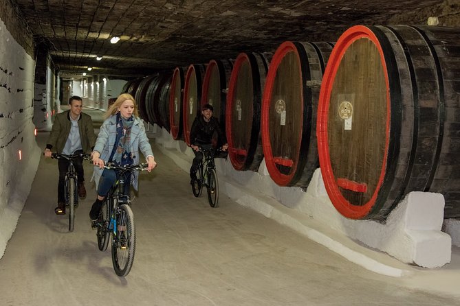 Biking a Guinness Book Winery - Good To Know
