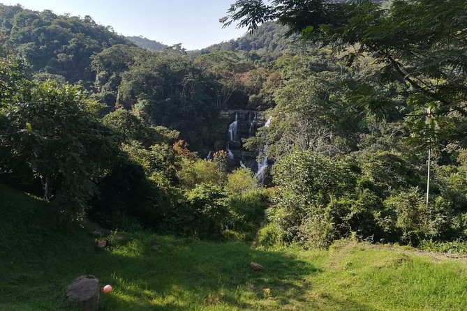 Bird Watching Tour Departing From Bogota. (2 Days)